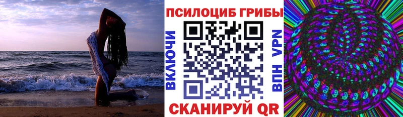 Галлюциногенные грибы Psilocybe  Асино 