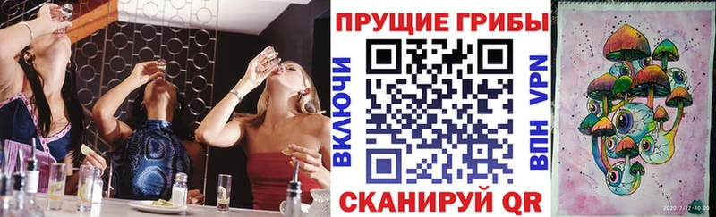 Псилоцибиновые грибы прущие грибы Асино