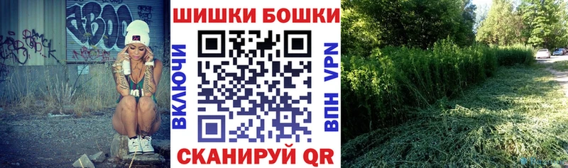 Каннабис сатива Асино